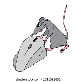 The rat moves a computer mouse. Hand-drawn cartoon. Holiday concept. Vector illustration.