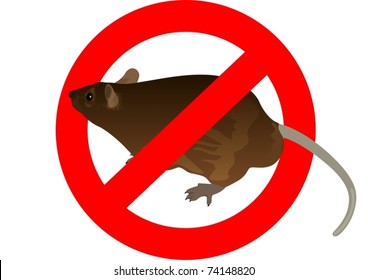 Rat on the background of a circular banning the signs