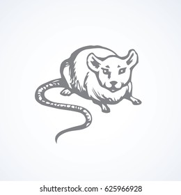 Rat on light backdrop. Freehand dark ink hand drawn illustration. 
