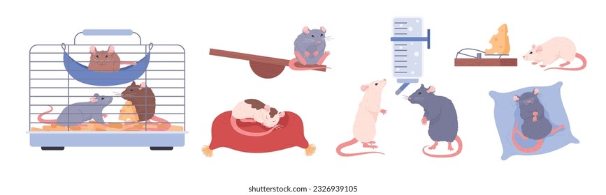 Rata como mascota mantenida en jaula en casa y artículos para cuidado y alimentación, los personajes establecen ilustración vectorial plana aislada en fondo blanco. Colección de ratas y artículos relacionados.