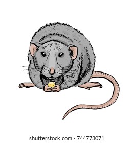 Rat with a piece of food, sketch. Vector illustration.