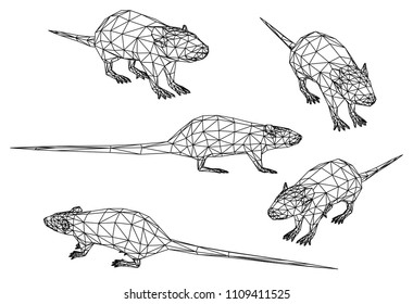 Rat polygonal lines illustration. Abstract vector rat on the white background