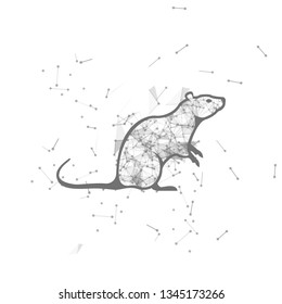 rat.  Polygonal wireframe rat silhouette. low poly vector illustrations on background of points and lines.