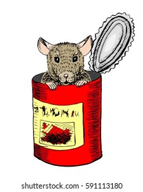 Rat in the red tin. Sketch,  isolated on white background.
