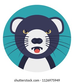 Rat, a rodent that resemble a large mouse