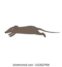 Rat runs. Symbol year. Vector illustration.