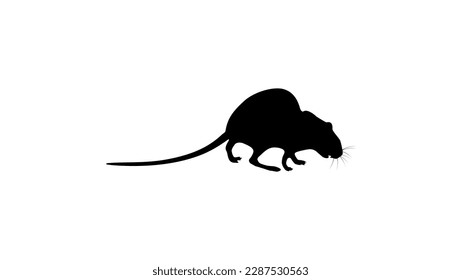 rat silhouette, high quality vector