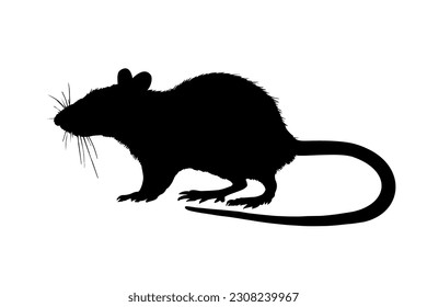 Rat silhouette isolated on white background. Vector illustration
