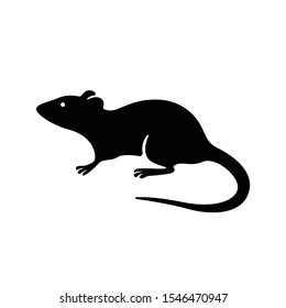 Black Mouse Animal High Res Stock Images Shutterstock
