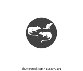 Rat silhouette logo design graphic