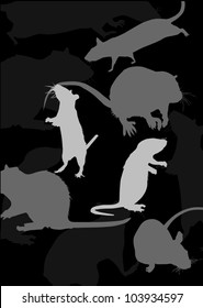 rat silhouettes isolated on black background