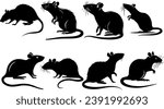 Rat Silhouettes, Small Rat Vector