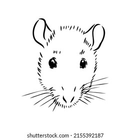 Rat sketch drawn by hand. Black and white vector illustration.
