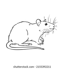 3,443 Rat black white sketch Images, Stock Photos & Vectors | Shutterstock