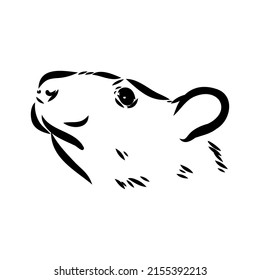 Rat sketch drawn by hand. Black and white vector illustration.