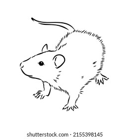 3,443 Rat black white sketch Images, Stock Photos & Vectors | Shutterstock