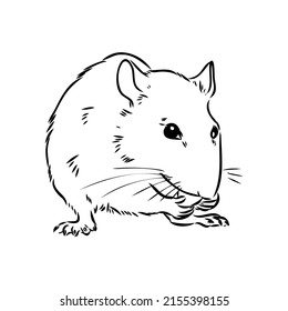 3,443 Rat black white sketch Images, Stock Photos & Vectors | Shutterstock