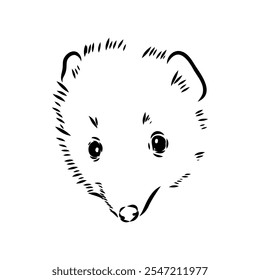 Rat sketch drawn by hand. Black and white vector illustration. water rat, vector sketch