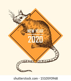 Rat sketch vector illustrations. Hand drawn picture with mouse. Symbol of 2020 new year.