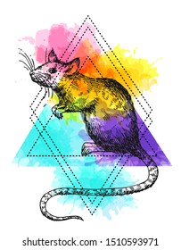Rat sketch vector illustrations. Hand drawn picture with mouse. Symbol of 2020 new year.