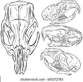 Rat Skulls Line Art Illustration Vector