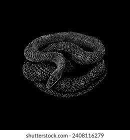 Baird’s Rat Snake hand drawing vector isolated on black background.