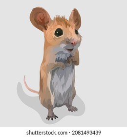 Rat standing up isolated realistic hand drawn vector and illustrations