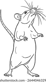 Rat Standing Up Line Art