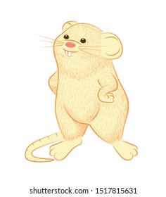 
Rat. Symbol of 2020. Image of a rat on a white background. Element for design. Vector illustration.