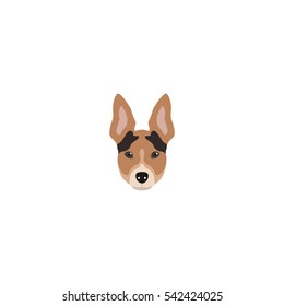 Rat Terrier head. Dog vector illustration.