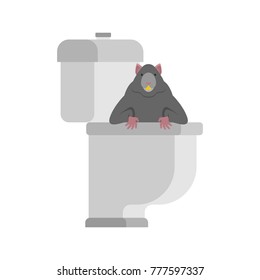 Rat in toilet. rodent is in WC. Anti-Santry. Dirty toilet. Vector illustration
