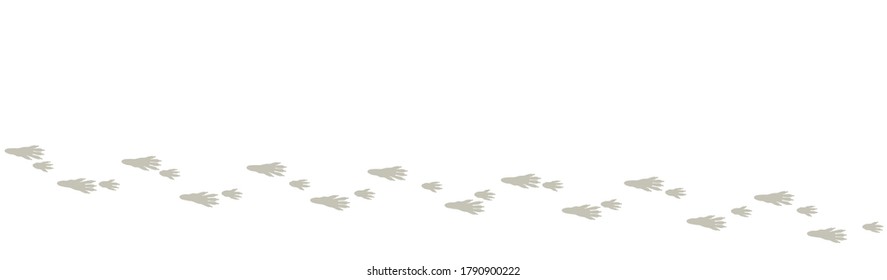 Rat tracks. Typical footprints of a house rat. Isolated icon vector illustration on white background.
