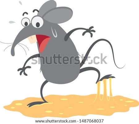 rat trapped in sticky glue traps,vector