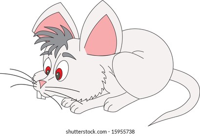 rat, vector