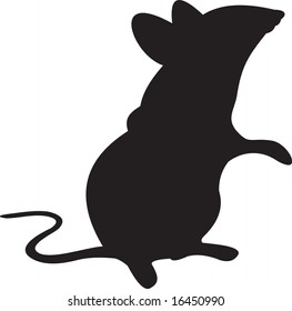 rat, vector