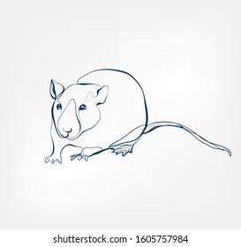  rat vector animal wild one line design