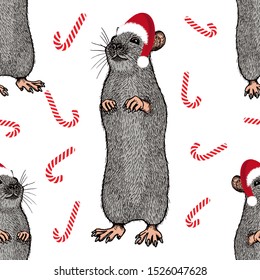 Rat vector background. Seamless pattern with hand drawn rats in Santa Claus hat and candy canes. Great for packaging, banner, poster, print, textile, decoration. Chinese zodiac sign Year of Rat.
