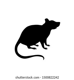 Rat. Vector black silhouette isolated on white background