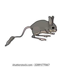 Rat vector icon.Color vector icon isolated on white background rat.