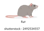 Rat vector illustration, cartoon clipart character, animal in flat style. Wild animals, wild creatures, wildlife concept. Brown rat vector design isolated on white background