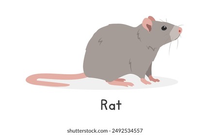 Rat vector illustration, cartoon clipart character, animal in flat style. Wild animals, wild creatures, wildlife concept. Brown rat vector design isolated on white background