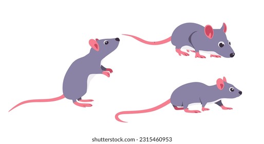 rat Vector illustration cartoon flat icon isolated on white.