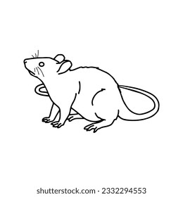 rat vector illustration with concept