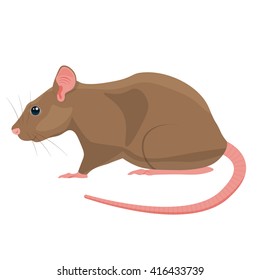 Rat vector illustration isolated on a white background