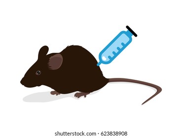 Rat vector illustration: Syringe