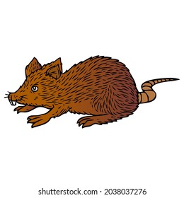 rat vector illustration,isolated on white background,top view