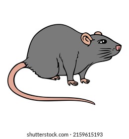 Rat Vector Illustrationisolated On White Backgroundtop Stock Vector ...