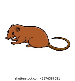 rat vector illustration,isolated on white background,top view