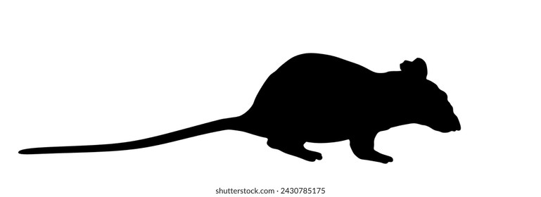 Rat vector silhouette illustration isolated on white background. Rattus symbol. Rats silhouette. Rodent animal. Home domestic mouse. Shape rat shadow.