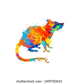 Rat. Vector silhouette of splash paint on white background